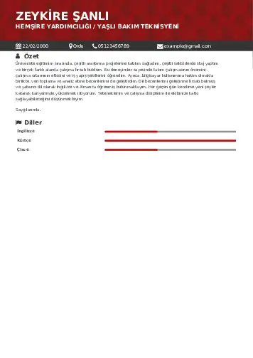 Hasta ve Yaşlı Bakım Elemanı Cv Örnekleri cv indir